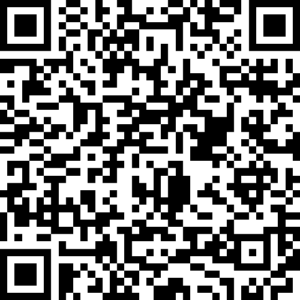 qr code to buy 2026 excalibur cup tickets online